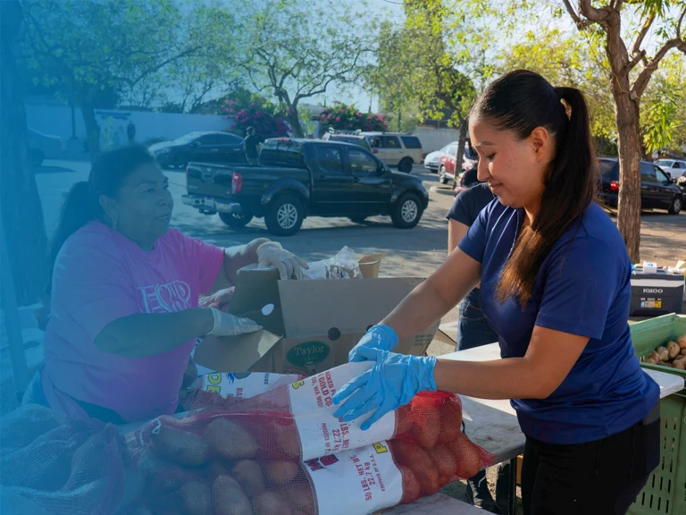 Impact Report to El Sol Website